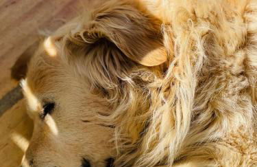 Monte do Lago, Pegões - Foto 79