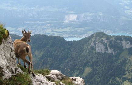 Escale du château de Promery 1389 - Foto 13