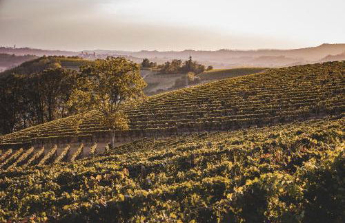 Villa Vinory Bricco di Nizza - Foto 29