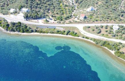 Calypso Beach Hotel - Foto 53