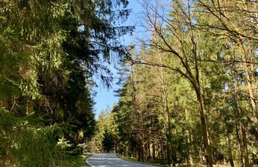 Lindners Hideaways - Gutshof Pine Retreat - Sauna - In Villa - Terrasse - Garten mit Rehgehege - Frühstück verfügbar - SKI - Arber - Osser - bis 5 Pers - Photo 56