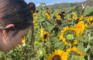 Oyster Cottage - Foto 9