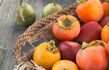 Il Fienile di Bisarno - Foto 31