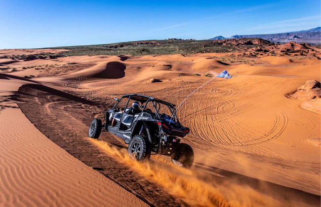 Sand Mountain Dune Buggy Tour - Foto 4