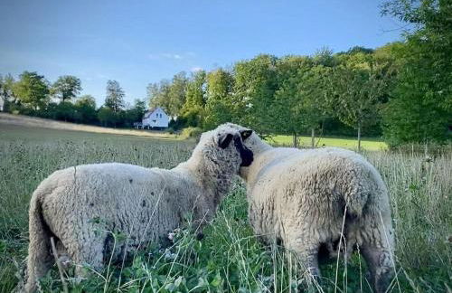 Boswachtershuis Goed Malberg - Foto 15