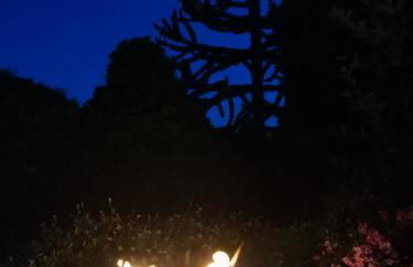 Silent Hill House - Foto 36