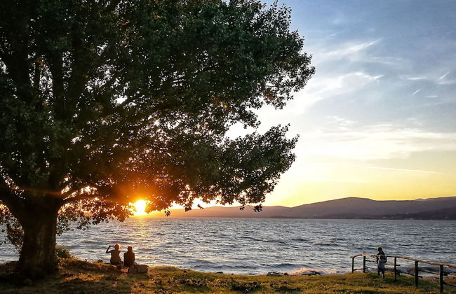 Agriturismo Casa Greppo - Il Mandorlo - Foto 77