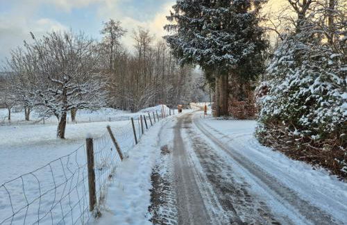 Ferienwohnung de Best inkl. Chiemgaukarte - Foto 6
