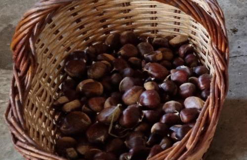 Ca la Pauleta - Foto 67