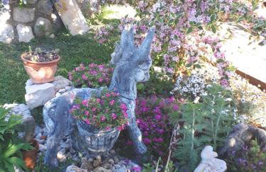 Apartments Makaus - Photo 12