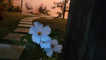 loft das flores - Foto 2