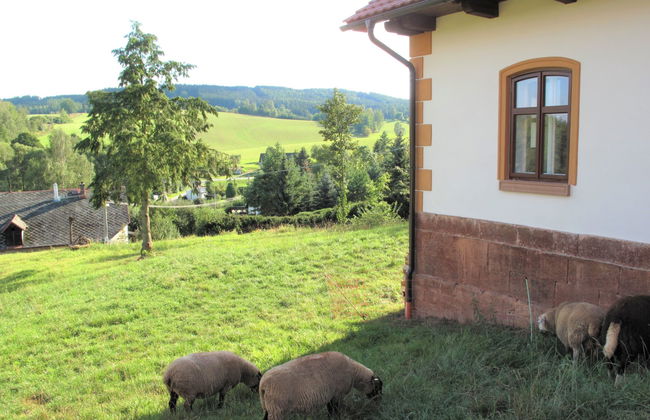 Dolní Olešnice - Foto 14