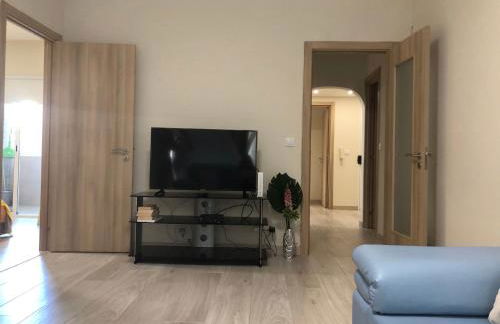 Apartamento Ferreirinha - Foto 6