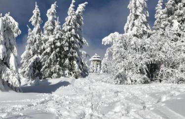 Ferienwohnung Feldberg Schwarzwald - Foto 32