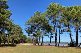 Villa DUNE - Foto 24