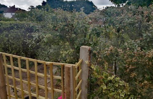 Super sunny studio with own terrace & parking - Photo 18