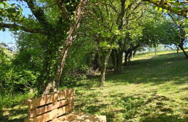 Maison 3 chambres 6 pers Enjoy en Champagne Jardin et Parking - Foto 9