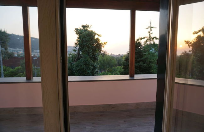 Lemon Factor Sorrento - Photo 19