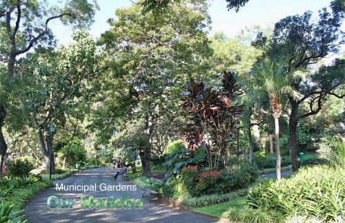 OurMadeira - BelleVeva - Foto 27