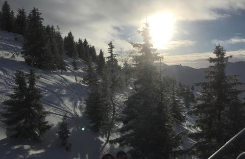 Y Hôtes- Ambiance Montagne T2 Station Hirmentaz - Foto 14