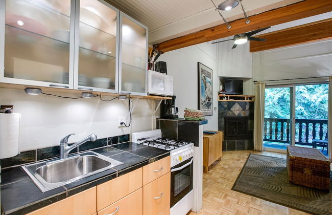 94SLL - Inexpensive - Fireplace - WiFi - Sleeps 4 - Foto 27