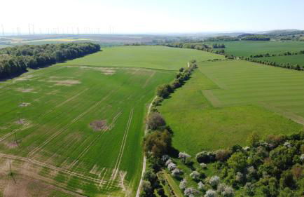 Idyllischer Ferienbungalow in ruhiger Lage mit Pool und großen Garten - Foto 50