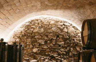 Fam de Vida - Foto 7