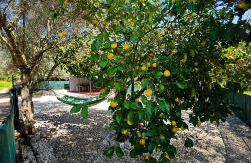 Lemon Garden Camper - Photo 39