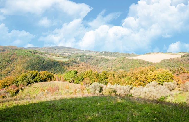 Tuscany Family Country Home - Photo 24