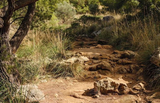 Muleta de Ca S'Hereu Agroturismo - Foto 47