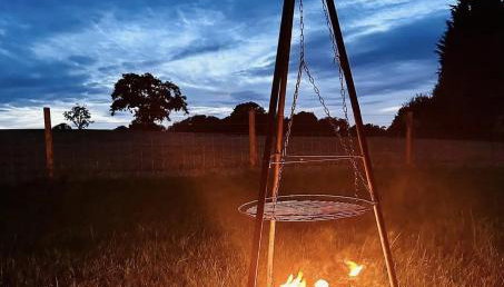 Oscar the Puma at Field of Dreams - Foto 4