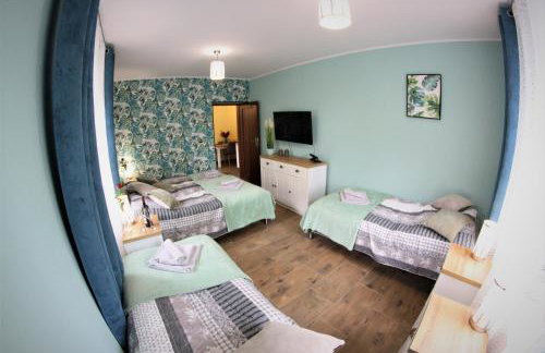 Apartamenty Zielone Centrum - Foto 6