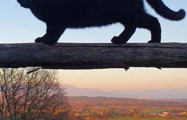 Agriturismo Il Vecchio Mandorlo - Foto 33