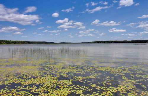 Lakefront Motley Cabin with Private Deck and Dock! - Foto 27