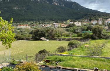 Casa Corofulu Oliena - IUN P2139 - Foto 9