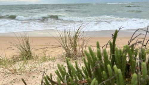 Location du Klan des K : villa 4 étoiles 150m plage - Foto 4