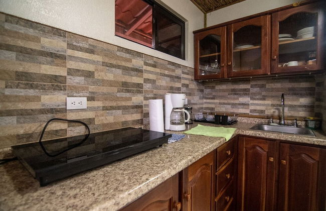 Terminal Verde - Foto 55