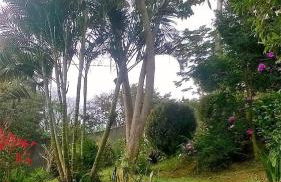 Atelier que virou um Loft em florianopolis - Foto 19