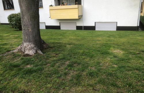 Ferienwohnung Hecker - Foto 14