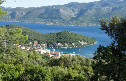 Apartments Segedin - Foto 9