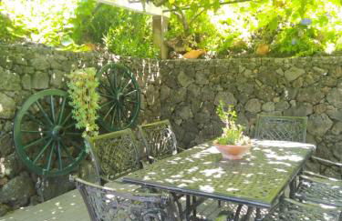 Casa Belcanto da Fajã - Photo 8