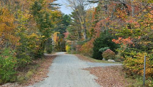 Frozen Jamaica - Foto 5