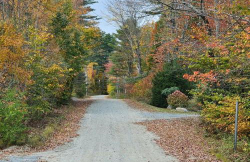 Frozen Jamaica - Foto 5