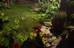 Willa Różana - Foto 25