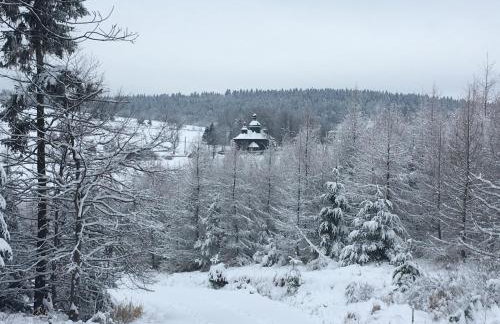 Krzywa 19 - Foto 26