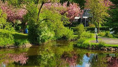 Kleinod am Kurpark - Foto 2