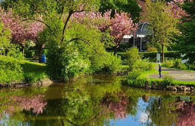 Kleinod am Kurpark - Foto 2