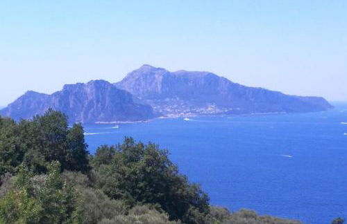 Carpe Diem Holiday House - Photo 23