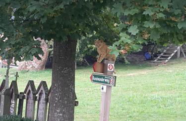 Ferienhof Schmalzgrub - Foto 5