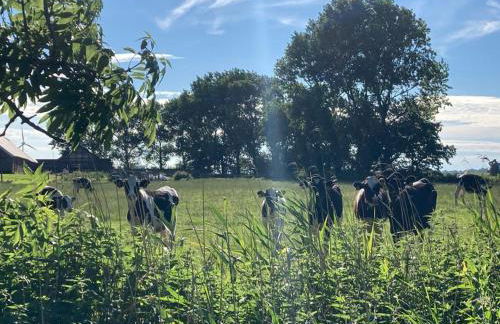 Ferienwohnung Nordnest - Foto 35